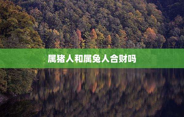 属猪人和属兔人合财吗