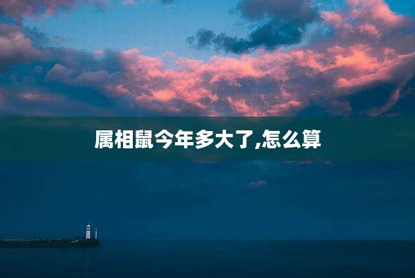 属相鼠今年多大了,怎么算