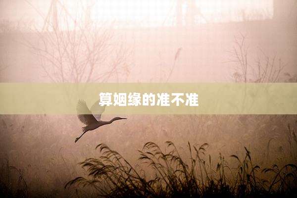 算姻缘的准不准