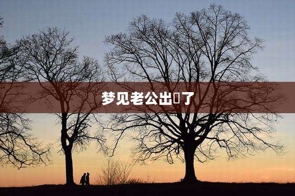 梦见老公出犾了