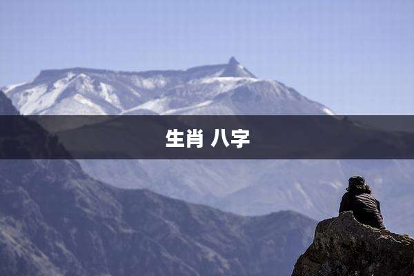 生肖 八字