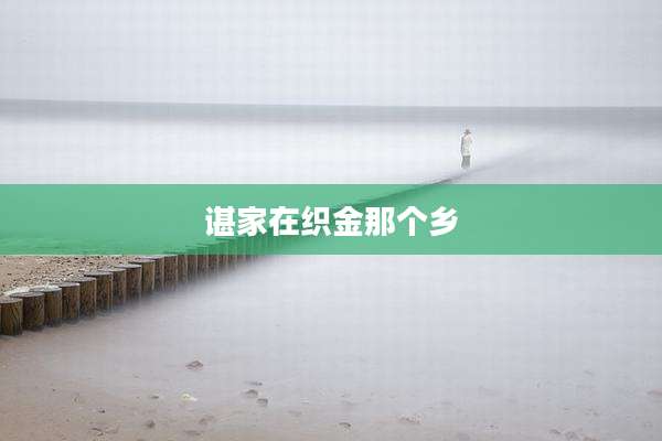 谌家在织金那个乡