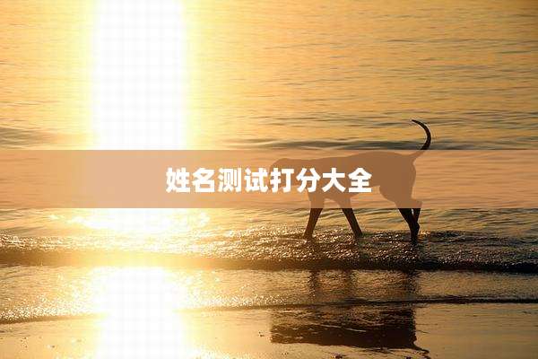 姓名测试打分大全