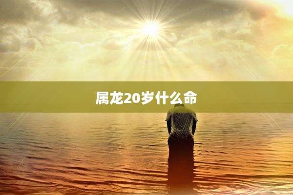 属龙20岁什么命