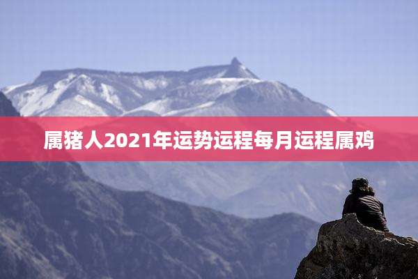 属猪人2021年运势运程每月运程属鸡