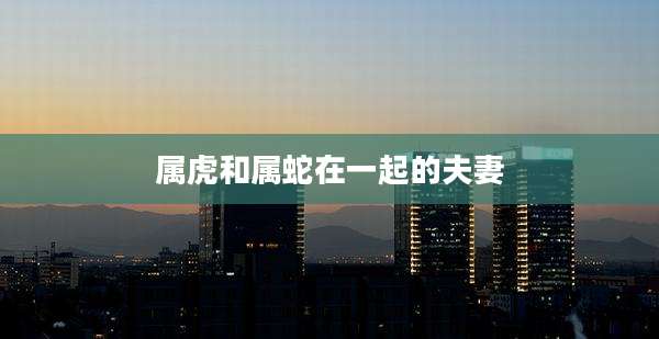 属虎和属蛇在一起的夫妻