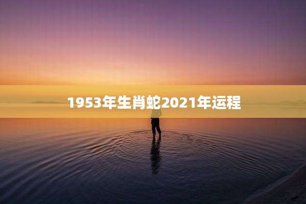 1953年生肖蛇2021年运程