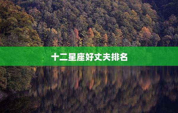 十二星座好丈夫排名