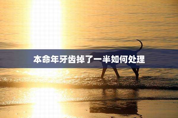 本命年牙齿掉了一半如何处理