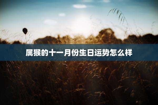 属猴的十一月份生日运势怎么样