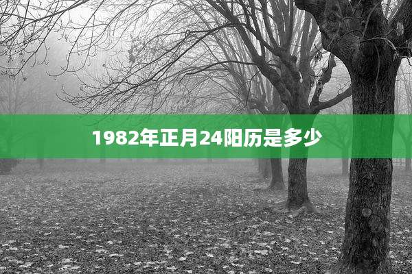 1982年正月24阳历是多少