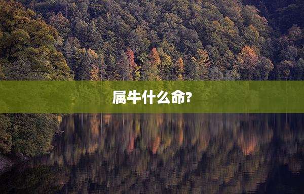 属牛什么命?