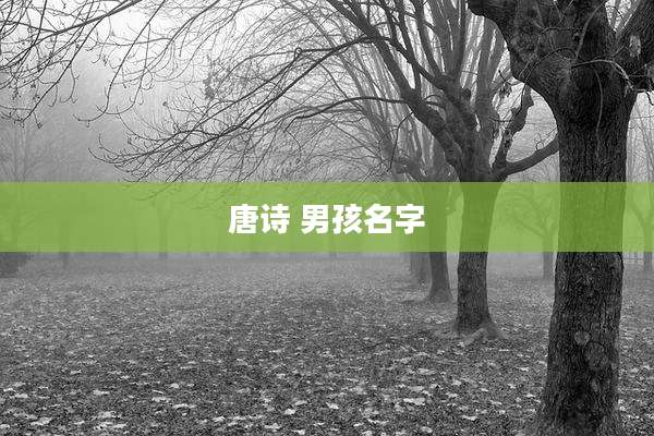 唐诗 男孩名字