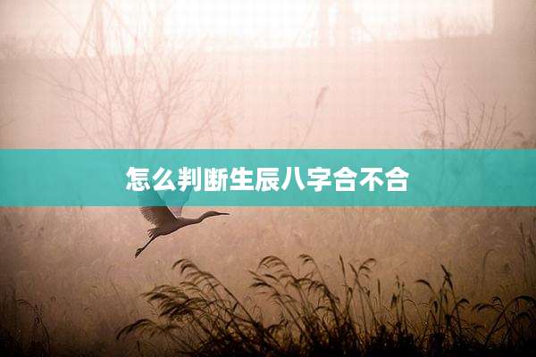 怎么判断生辰八字合不合