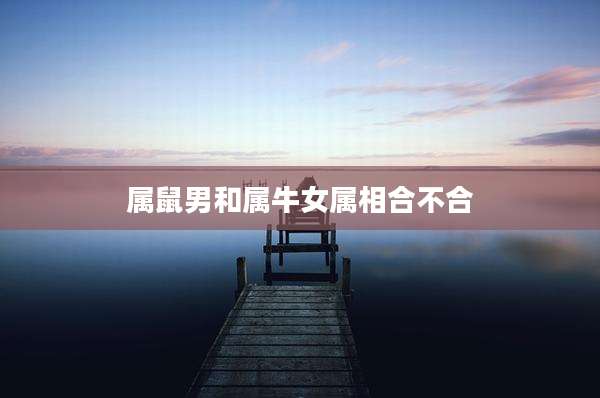 属鼠男和属牛女属相合不合