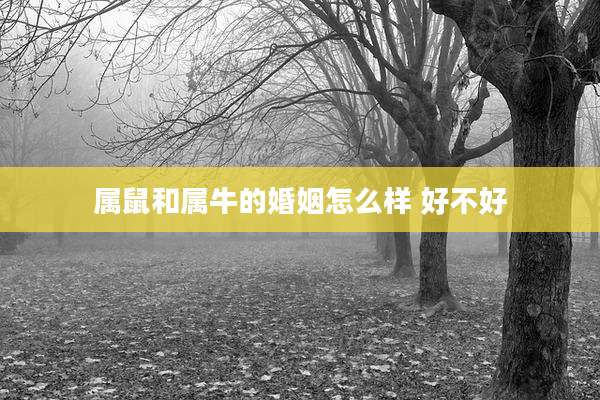 属鼠和属牛的婚姻怎么样 好不好