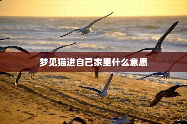 梦见猫进自己家里什么意思