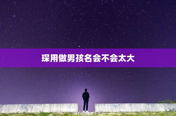 琛用做男孩名会不会太大