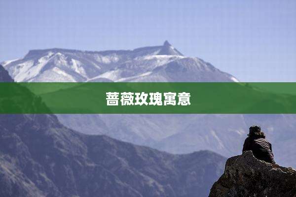 蔷薇玫瑰寓意