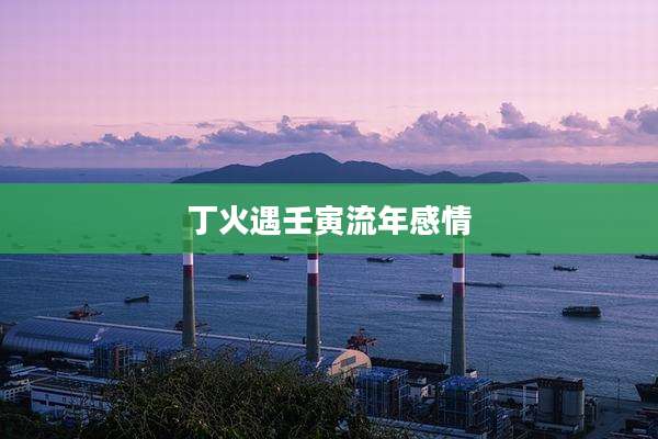 丁火遇壬寅流年感情