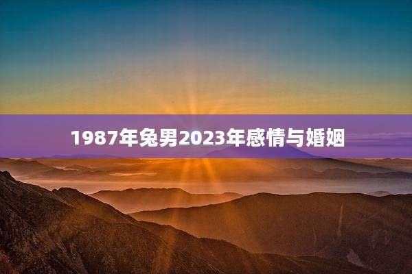 1987年兔男2023年感情与婚姻