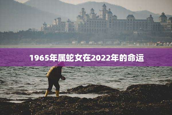 1965年属蛇女在2022年的命运
