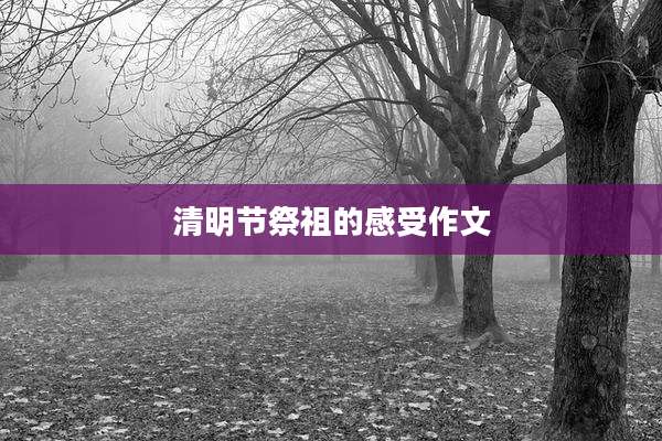 清明节祭祖的感受作文