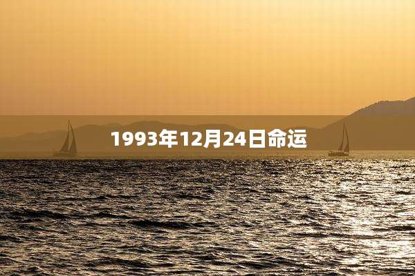 1993年12月24日命运