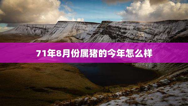 71年8月份属猪的今年怎么样