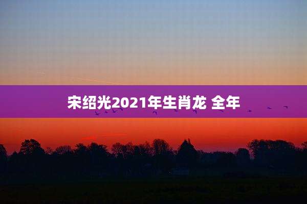 宋绍光2021年生肖龙 全年
