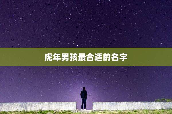 虎年男孩最合适的名字