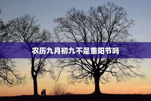 农历九月初九不是重阳节吗
