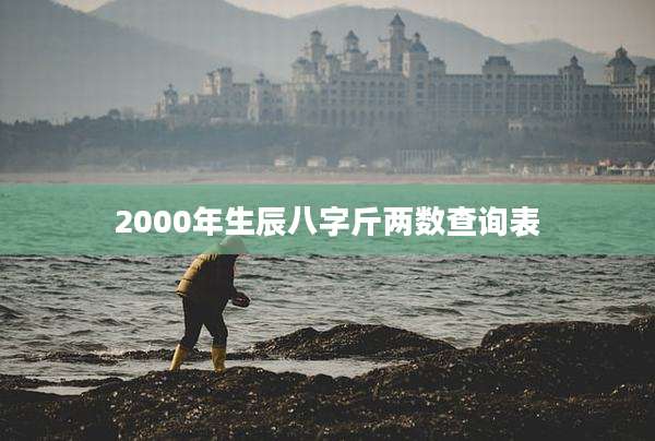 2000年生辰八字斤两数查询表