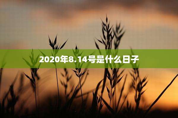 2020年8.14号是什么日子