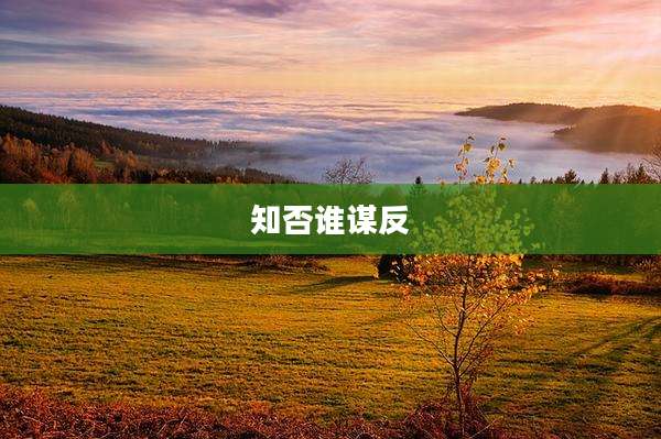 知否谁谋反