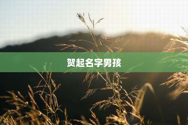 贺起名字男孩