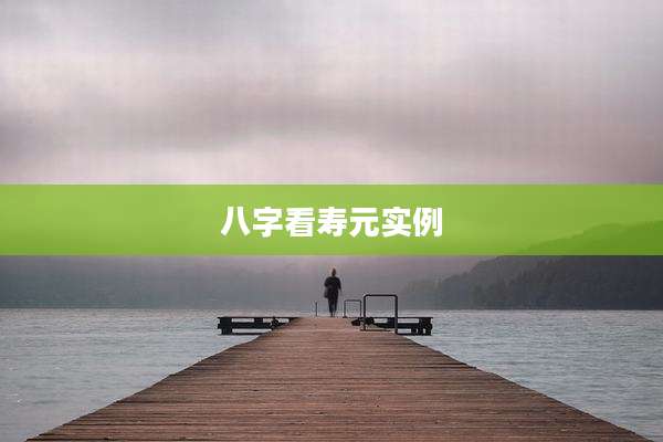 八字看寿元实例