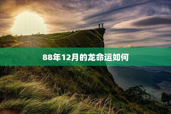 88年12月的龙命运如何