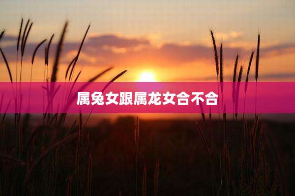 属兔女跟属龙女合不合