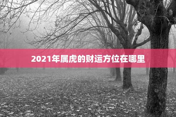 2021年属虎的财运方位在哪里