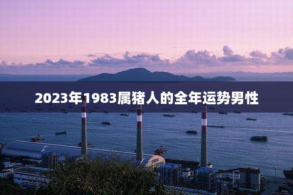 2023年1983属猪人的全年运势男性