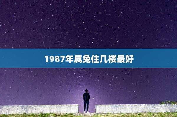 1987年属兔住几楼最好
