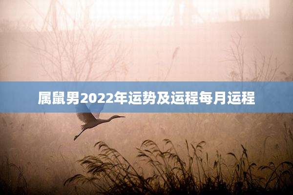 属鼠男2022年运势及运程每月运程