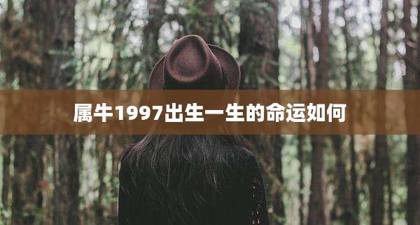 属牛1997出生一生的命运如何