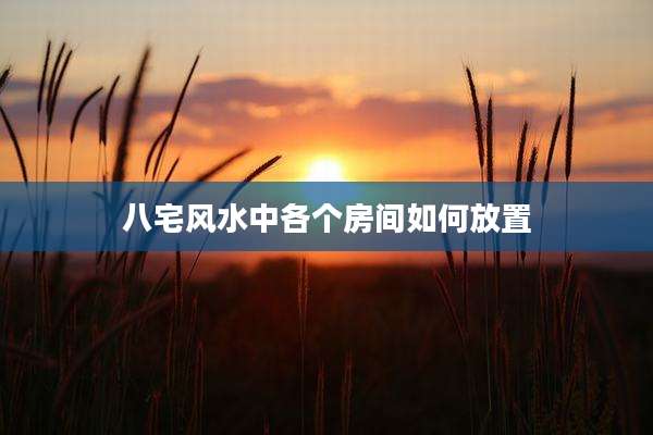 八宅风水中各个房间如何放置
