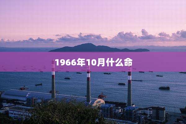 1966年10月什么命