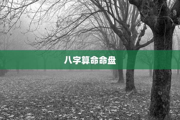 八字算命命盘