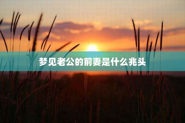 梦见老公的前妻是什么兆头