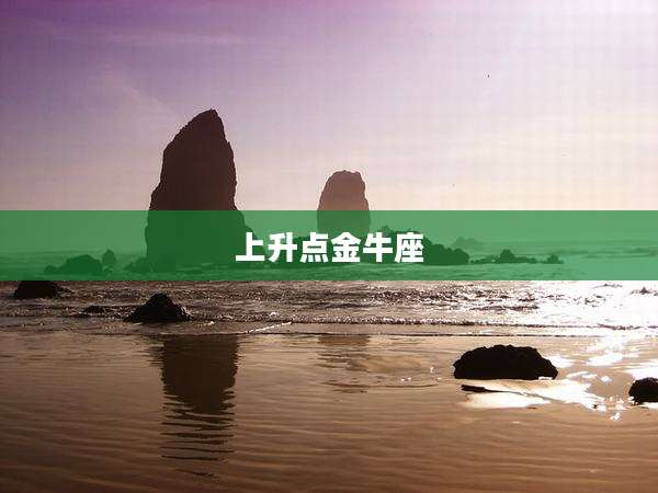 上升点金牛座