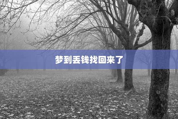 梦到丢钱找回来了